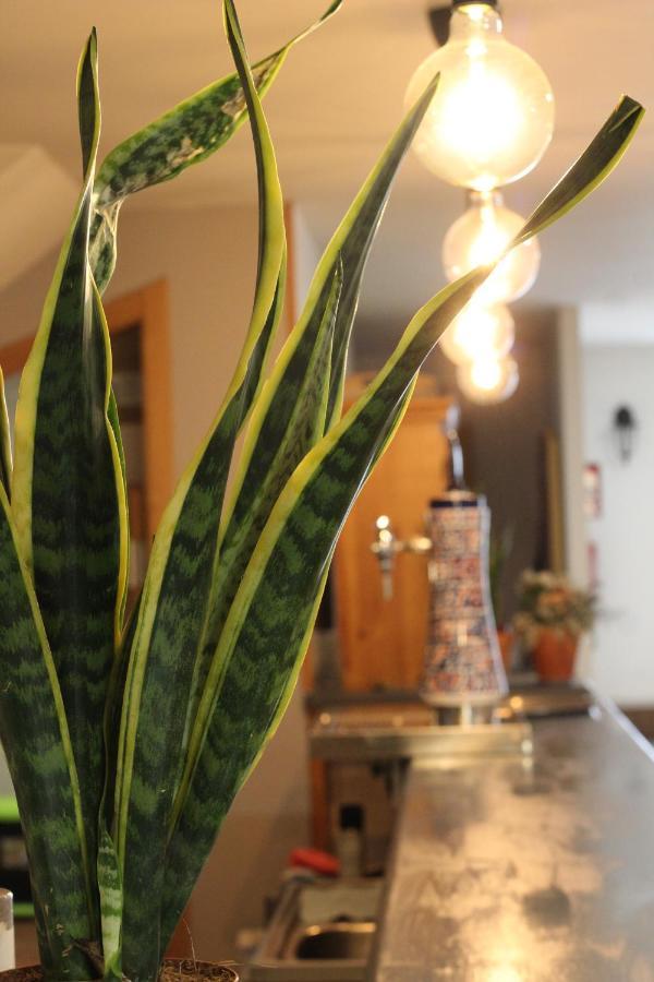 As Margaritas Guest house Santiago de Compostela